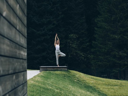 Yoga_LZT_by_Daniel_Zangerl